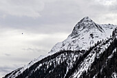  Hot air balloon next to Spitzkogel, Venediger Group, East Tyrol, Austria 