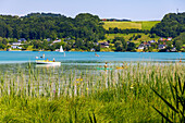  Mattsee with bathers, SUPs, and boats, Salzburger Land, Austria 