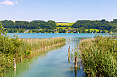Mattsee mit Verbindungskanal zum Obertrumer See, Salzburger Land, Österreich