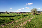 Kolonnenweg an der ehemaligen innerdeutschen Grenze, Frankenheim, Rhön, Thüringen, Deutschland