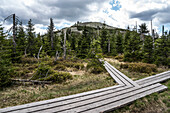  Hiking trail to Lusen, Bavarian Forest National Park, Mauth, Bavaria 