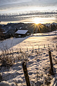 Agergschwendalm am Hochgern bei Sonnenuntergang im Winter, bei Ruhpolding, Chiemgauer Alpen, Oberbayern, Bayern, Deutschland Bayern