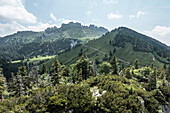  View from the Zwölferturm to the Kampenwand, Chiemgau Alps, Germany 