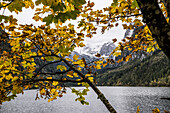 Vorderer Gosausee mit Blick auf den Gosaukamm im Herbst, Gosau, bei Gmunden, Salzkammergut, Oberösterreich, Österreich