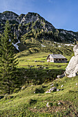 Blick zur Neualm und den Gipfeln Wilde Jäger, Rußbach am Paß Gschütt,  Salzkammergut, Land Salzburg, Österreich