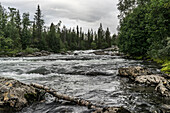 Der Gamájåhkå (Gamajahka) Fluss mit Stromschnellen bei Kvikkjokk, Norrbottens län, Nordschweden, Schweden, Skandinavien