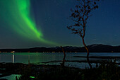  Northern Lights in Tromsø, Troms County, Norway 