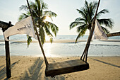  Sandy beach with coconut palms, Khlong Chao Beach, Haad Khlong Hin Beach, Koh Kood, Koh Kut, Gulf of Thailand, Thailand 