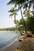  Sandy beach with coconut palms, Ao Noi Beach, Haad Khlong Hin Beach, Koh Kood, Koh Kut, Gulf of Thailand, Thailand 