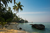  Sandy beach with coconut palms, Ao Noi Beach, Haad Khlong Hin Beach, Koh Kood, Koh Kut, Gulf of Thailand, Thailand 