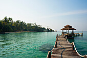  Sandy beach with coconut palms, Ao Noi Beach, Haad Khlong Hin Beach, Koh Kood, Koh Kut, Gulf of Thailand, Thailand 