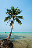 Sandstrand mit Kokospalme und Schaukel über dem Meer, Haad Na Lay Beach, Haad Khlong Hin Beach, Koh Kood, Koh Kut, Golf von Thailand, Thailand