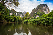  Jungle and rainforest and steep mountains, Khao Sok National Park, Phang Nga, Surat Thani, Thailand 