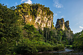  Jungle and rainforest and steep mountains, Khao Sok National Park, Phang Nga, Surat Thani, Thailand 
