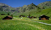 Wanderer auf dem Weg durch das Blumental mit Almhütten, Mürren, Lauterbrunnen, Berner Oberland, Kanton Bern, Schweiz