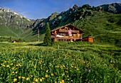  View across a meadow of wildflowers to the Sonnenberg mountain hotel and alpine huts in the Blumental valley near Mürren. Lauterbrunnen, Bernese Oberland, Switzerland 