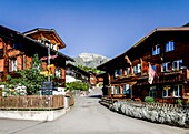  Alpine houses in the town center of Mürren, hiking trail to Allmendhubel, Mürren, Lauterbrunnen, Bernese Oberland, Switzerland 