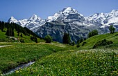  Alpine meadow with stream and wildflowers, mountain hotel and peaks of Eiger, Mönch, and Jungfrau in the background, Mürren, Lauterbrunnen, Bernese Oberland, Switzerland 