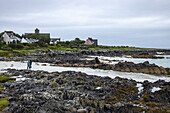 Flechten auf Felsen und Strand bei Ebbe, Baile Mòr, Isle of Iona, Argyll and Bute Council, Schottland, Vereinigtes Königreich, Europa