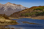 Blick über den See Loch Coulin, Berge im Hintergrund, Schottland, Großbritannien