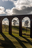  Trees stand between the arches of the Leaderfoot Viaduct on the River Tweed. 