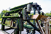  Forty-man wheel on the Regnitz River in the open-air museum of Möhrendorf water wheels in Möhrendorf near Erlangen in Middle Franconia, Franconia, Bavaria, Germany 