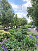  Spring in Planten un Blomen, city park in the center, Neustadt district, Hamburg, Germany, Europe 