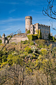  Below Pyrmont Castle, Southern Eifel, Münstermaifeld, Rhineland-Palatinate, Germany 
