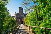  In front of the Ehrenburg, Hunsrück, Brodenbach, Rhineland-Palatinate, Germany 