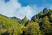  View of Ehrenburg Castle, Hunsrück, Brodenbach, Rhineland-Palatinate, Germany 