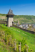 Defense tower above Oberwesel, Middle Rhine, Rhineland-Palatinate, Germany 