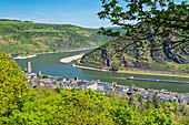  Above Oberwesel, Middle Rhine, Rhineland-Palatinate, Germany 