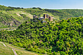  View of the Schönburg Castle, Oberwesel, Middle Rhine, Rhineland-Palatinate, Germany 