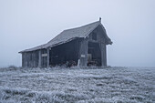  Field barn in winter, Kochelmoos, Schlehdorf, Upper Bavaria, Bavaria, Germany 