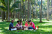  Picknick unter Palmen in Anse des Cascades, Sainte-Rose, Insel Réunion, Überseedepartement Frankreichs, Indischer Ozean 