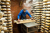 Man turning Tomme cheese over while maturing,Paccard ripening cellar at Manigod in the Valley of Aravis,Haute-Savoie department, Rhone-Alpes region, France, Europe