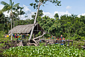 Warao-Dorf auf Stelzen, Tigre-Fluss, Nebenfluss des Orinoco, Bundesstaat Monagas, Bolivarische Republik Venezuela, Südamerika