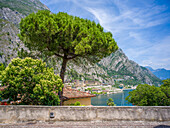 Limone sul Garda, Gardasee, Brescia, Lombardei, Dolomiten, Alpen, Norditalien, Italien, Europa