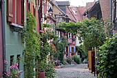  in Eguisheim, Alsace, France 