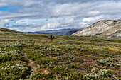 Wanderer auf dem Arctic Circle Trail am See Amitsorsuaq, Distrikt Sisimiut, Grönland