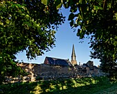  Medieval town of Zons in the evening light, moat, city wall, St. Martinus Church and Juddeturm, Zons, Dormagen, North Rhine-Westphalia, Germany 