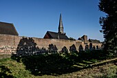  Medieval town of Zons in the evening light, moat and city wall, St. Martinus Church, Zons, Dormagen, North Rhine-Westphalia, Germany 