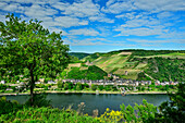  View of the Rhine with Bacharach and Stahleck Castle, Rheinsteig, Rhenish Slate Mountains, UNESCO World Heritage Upper Middle Rhine Valley, Rhineland-Palatinate, Germany 