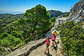  Three people hiking in a Greek pine forest, old chapel in the background, Katounes, Skyros, Aegean Sea, Sporades, Central Greece, Greece 