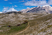 Italien, Abruzzen, Gran Sasso, Nationalpark, Campo Imperatore