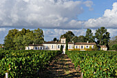 Wine growing estate Chateau Gazin,Pomerol,Gironde department,Aquitaine region,south-western France,Europe