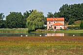 Gabriere pond,Regional nature Park of Brenne,Indre department,province of Berry,region of Centre,France,Europe
