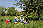 Female cyclists having a picnic in an apple orchard,around Corbon,Orne department,Lower Normandy region,France,Western Europe