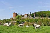 Wiesen und Schloss von Hierges, Ardennen-Abteilung, Champagne-Ardenne-Region im Nordosten Frankreichs, Europa