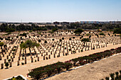 World War II Commonwealth War Graves, Alamein, Egypt